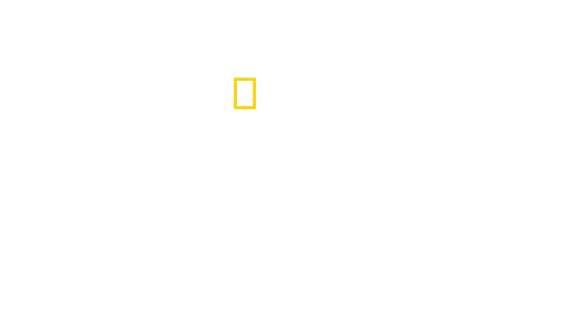 Lost Cities: The Flood