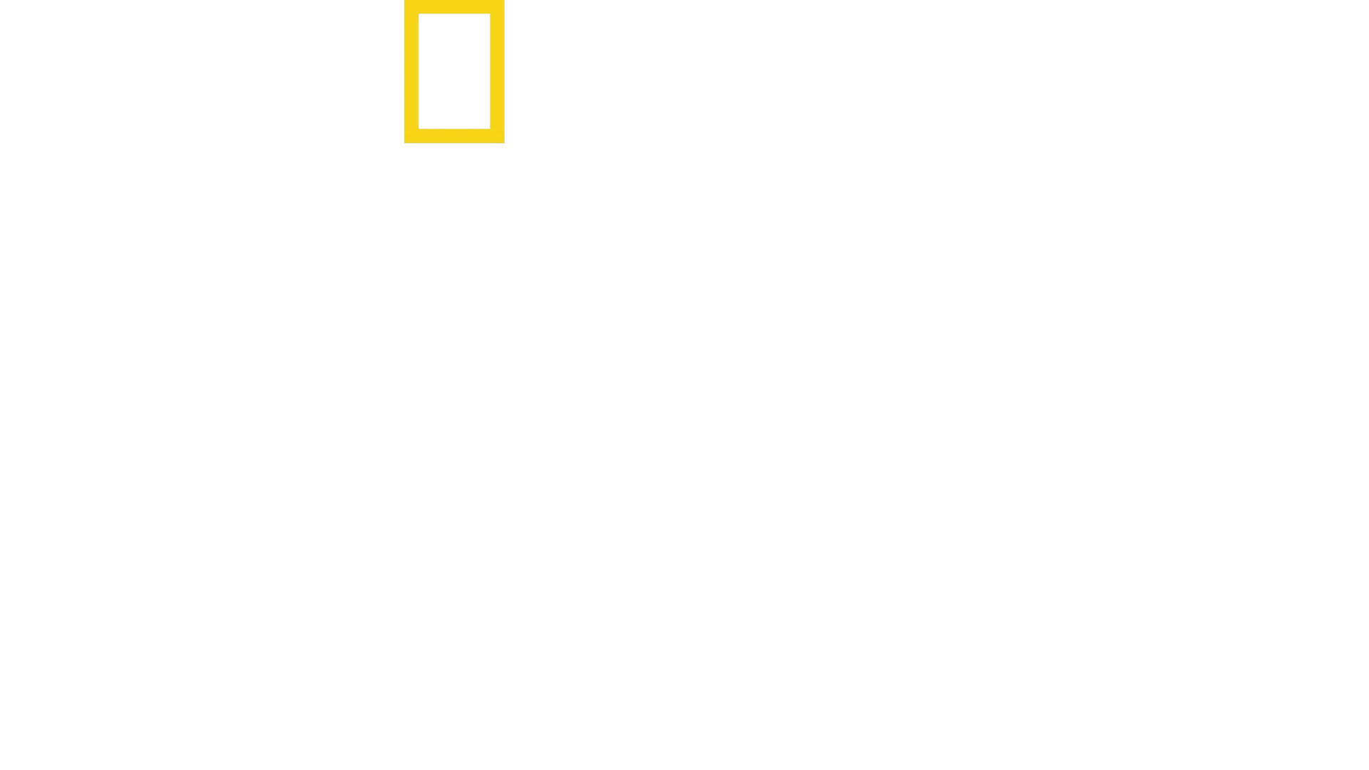 Contrabandistas con Mariana Van Zeller