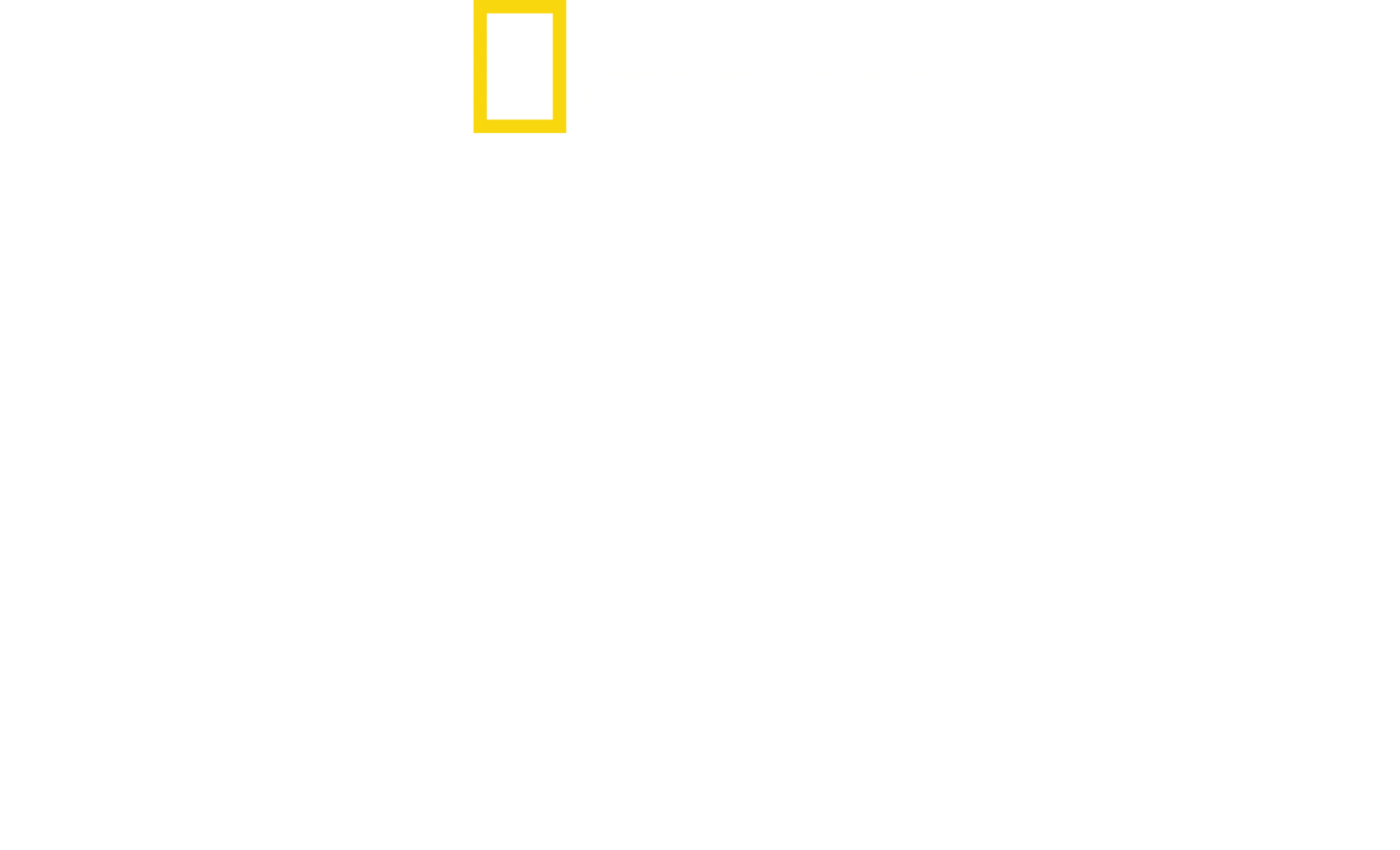 A varázslatos Disney's Animal Kingdom