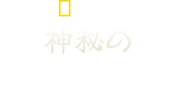 神秘のヨーロッパ