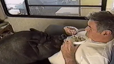 thumbnail - S18:E17 Wild Animal Kingdom, Whatta Mess!, and Nuns Versus Nunchucks