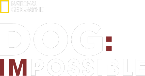 Dog: Impossible