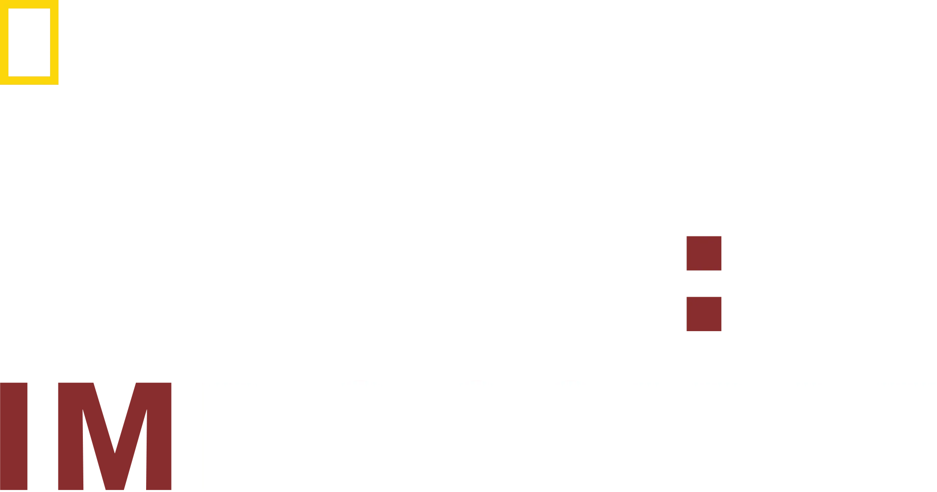 Dog: Impossible