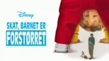 thumbnail - Skat, barnet er forstørret