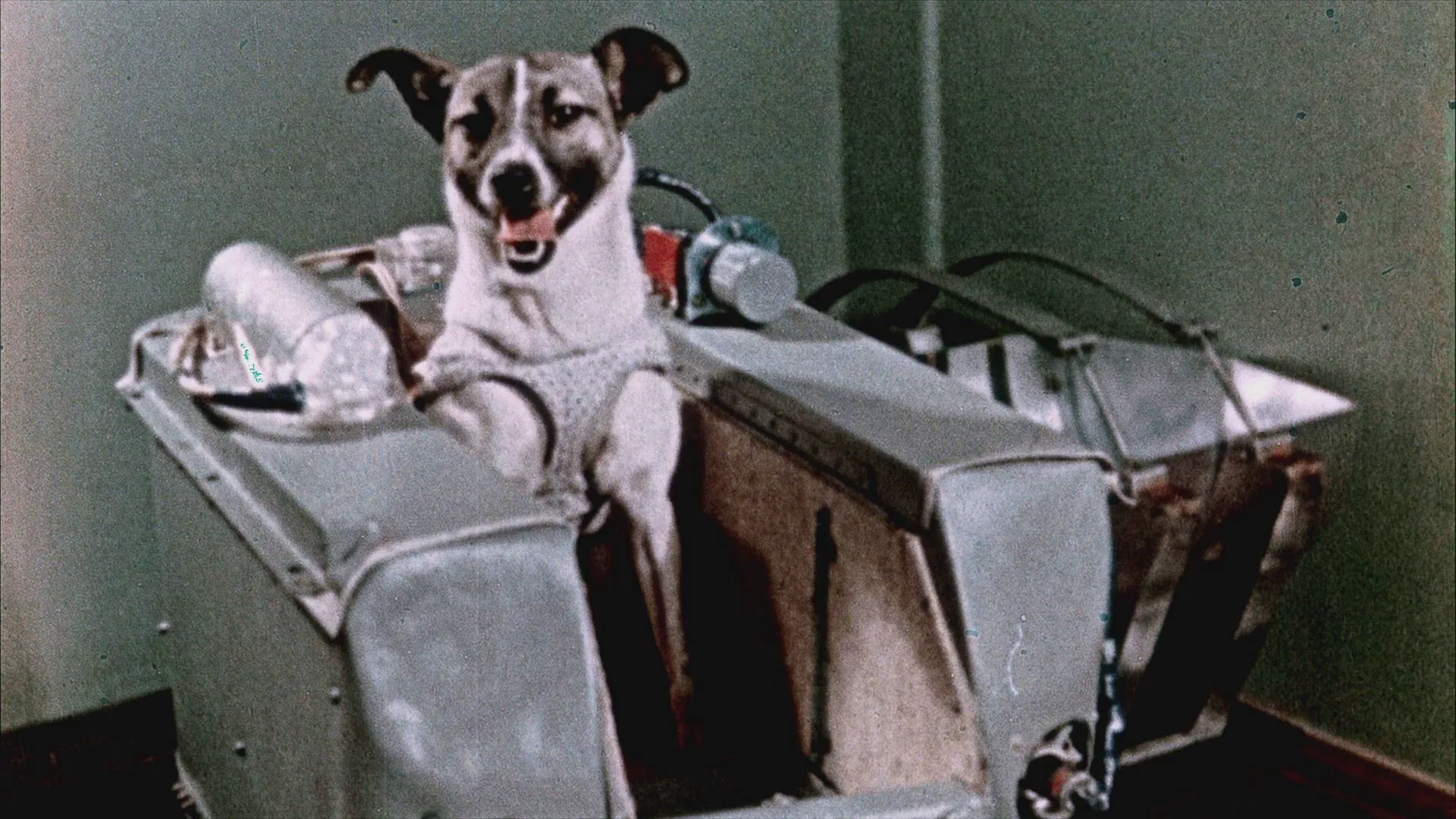 thumbnail - S2:E12 Extraordinary Journeys