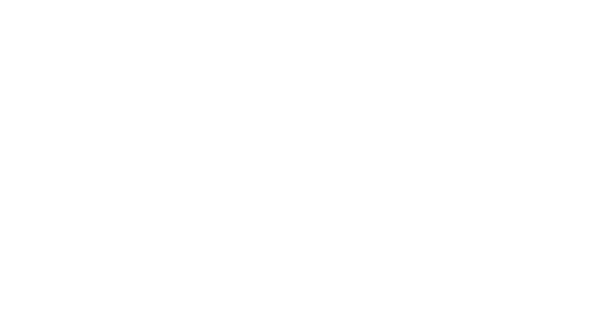 Life in Pieces