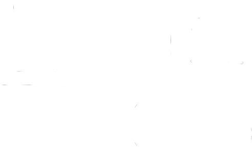 Life in Pieces