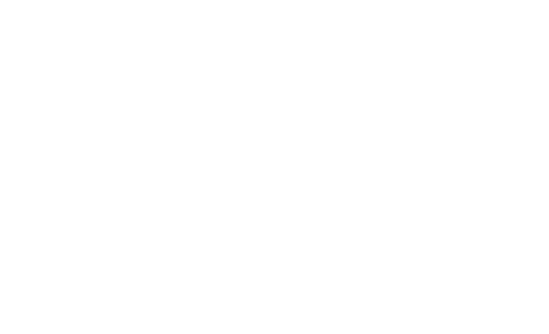 Life in Pieces