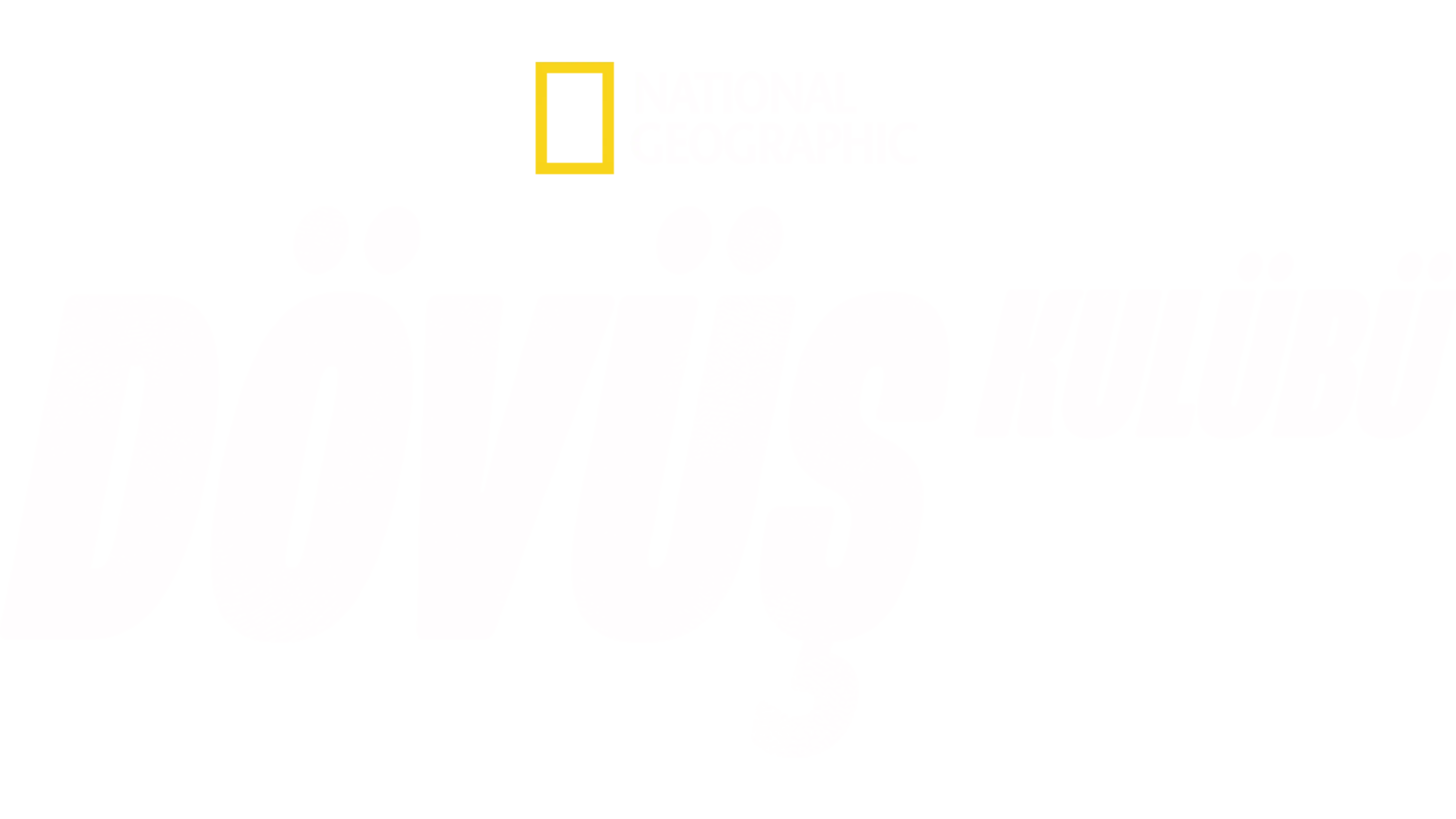 Dövüş Kulübü