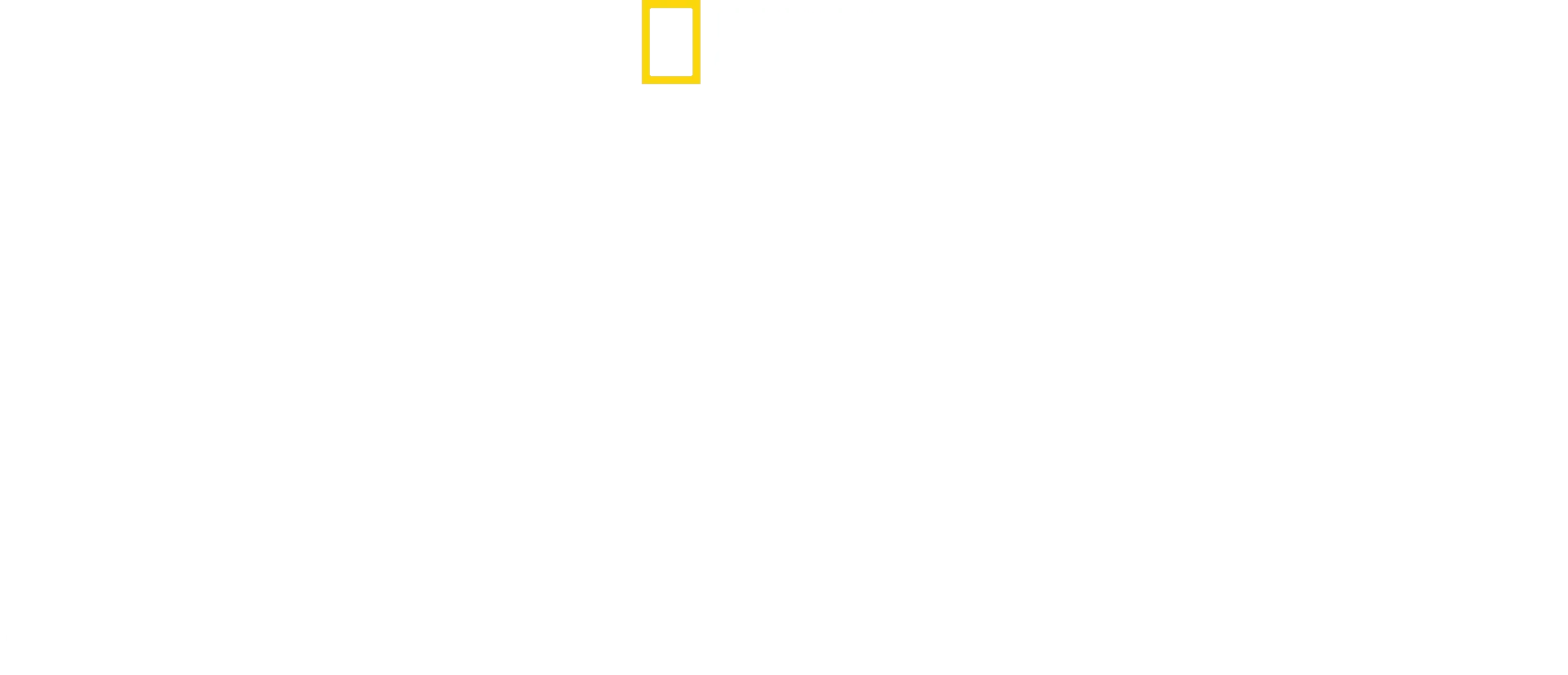 Seducción Alada: Aves del Paraíso