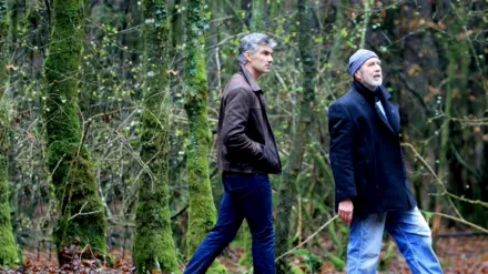 Um Corpo Em Brocéliande