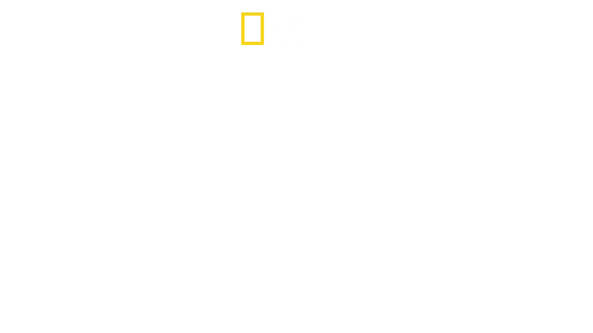 Philly Undercover