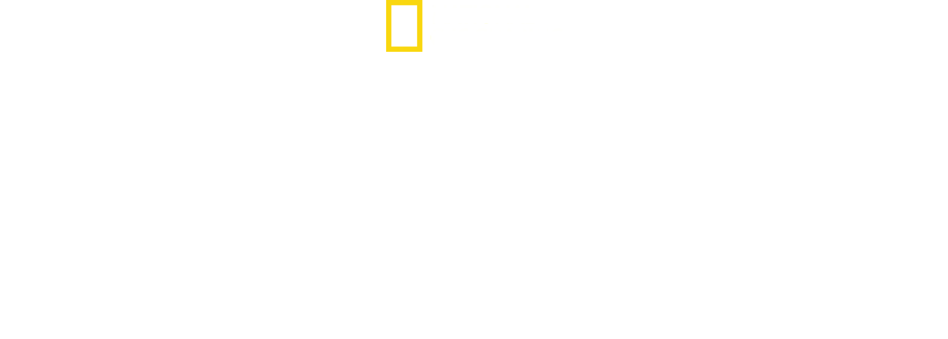 Sharks Of The Bermuda Triangle
