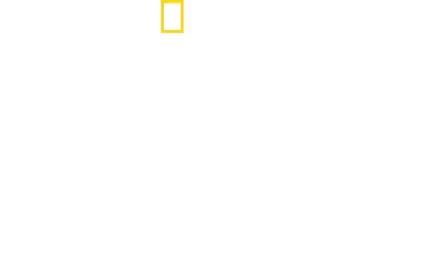 遠征亞馬遜