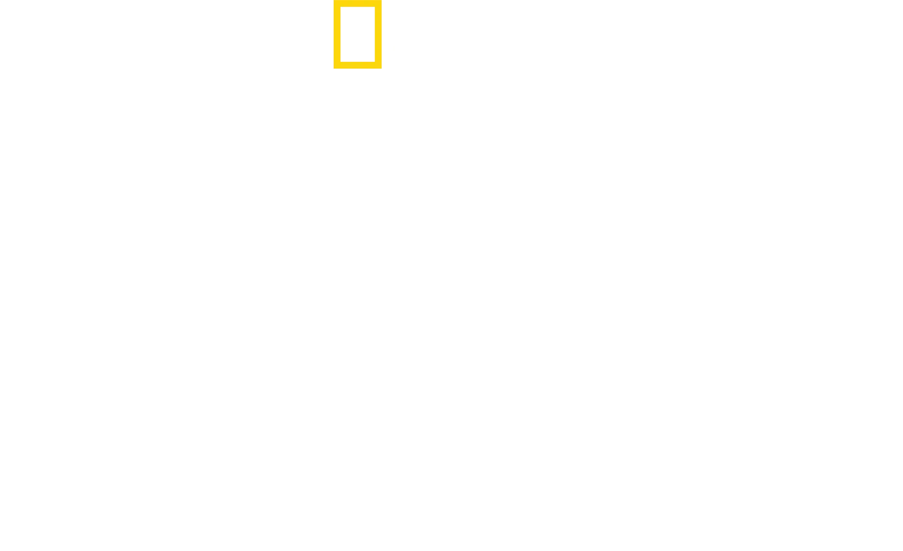 遠征亞馬遜