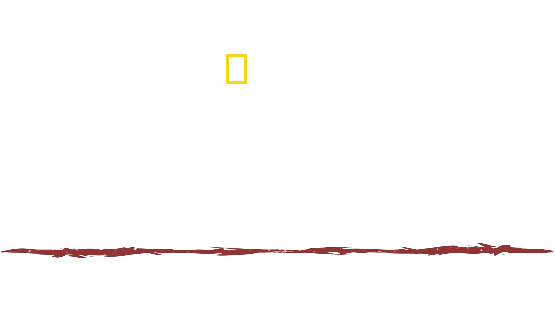 Äärimmäinen selviytyjä