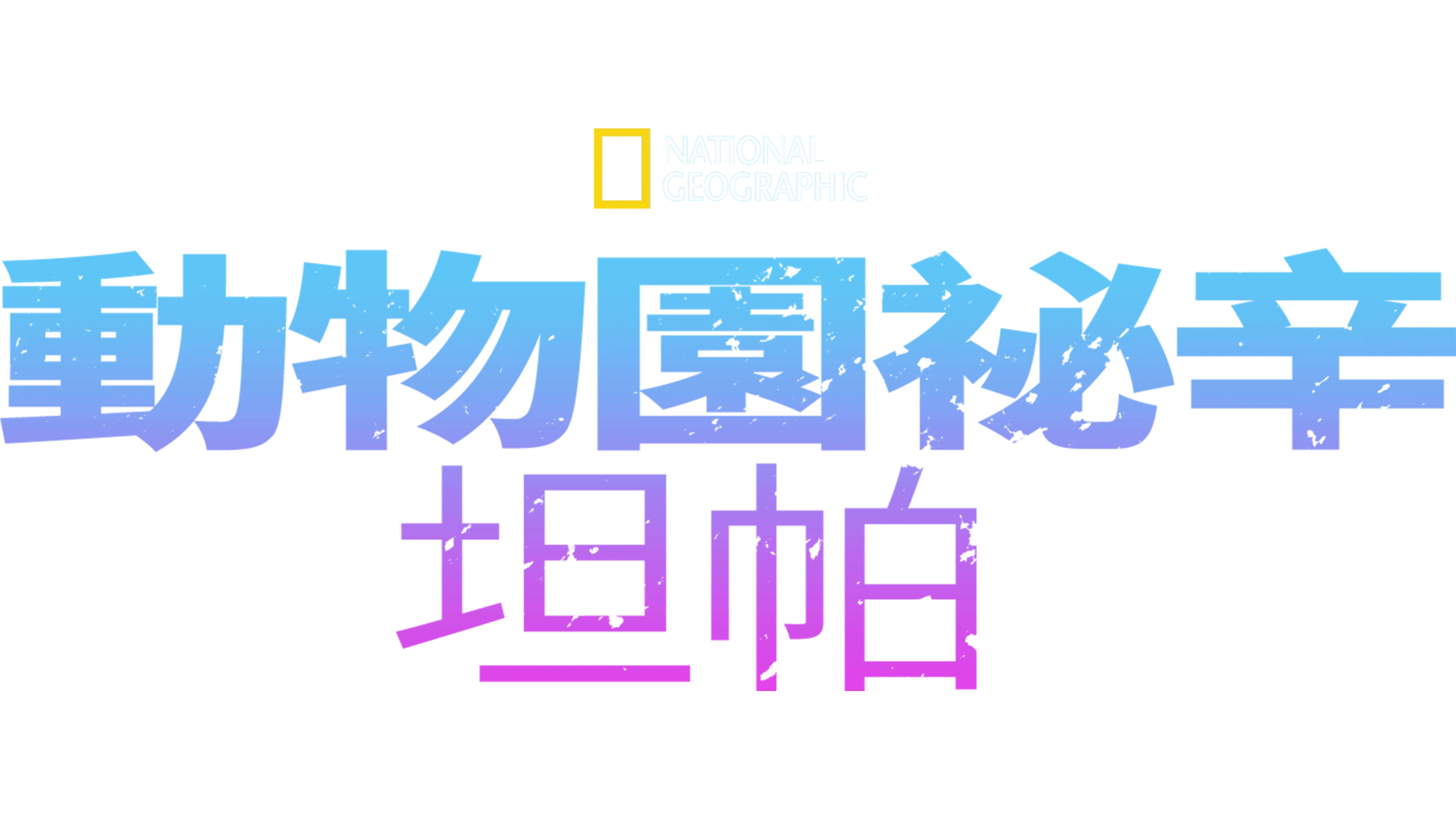 動物園祕辛：坦帕