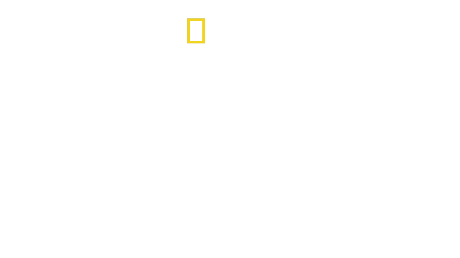 Wild Lapland