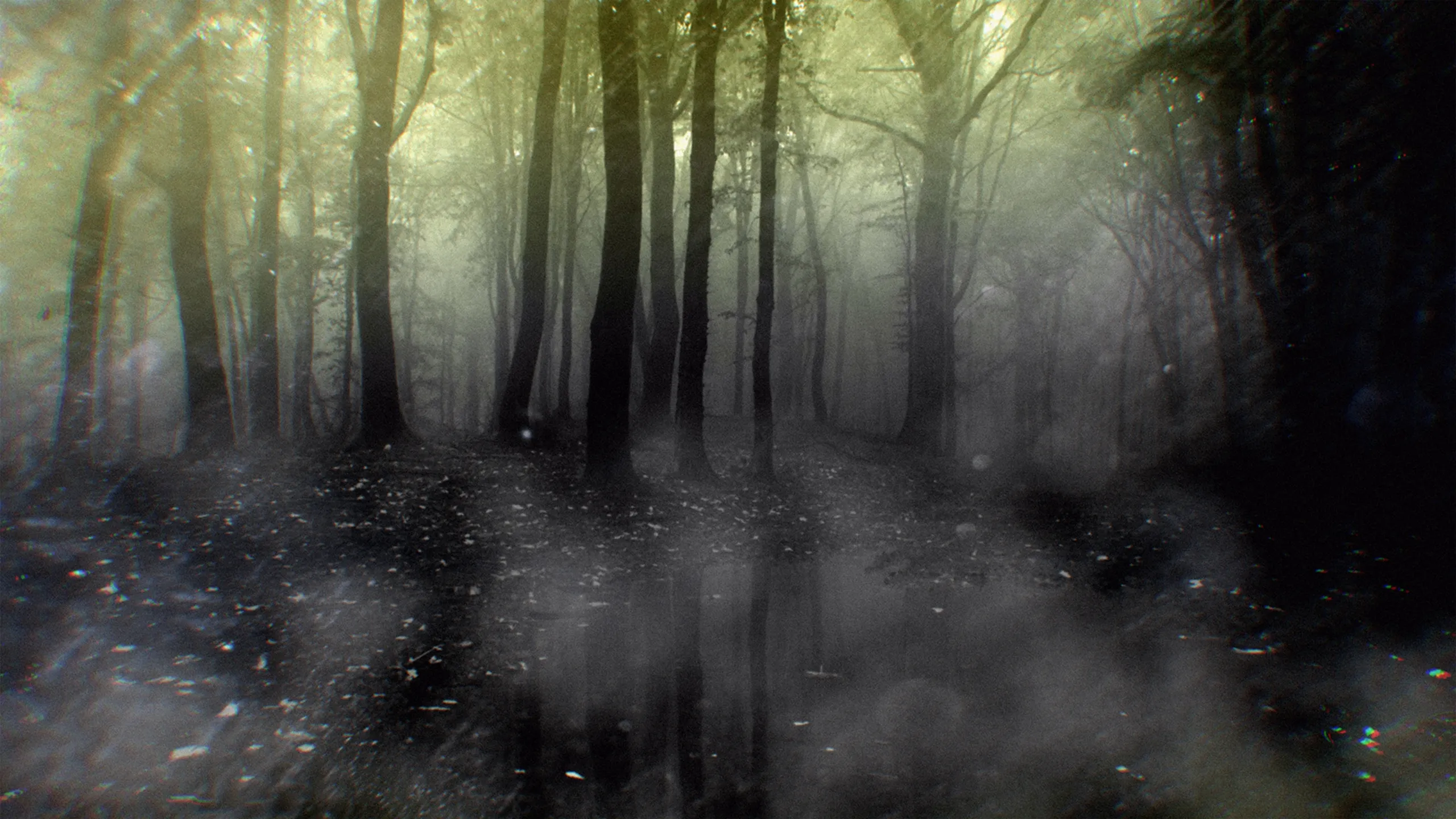 Crime Beat: Most Wanted