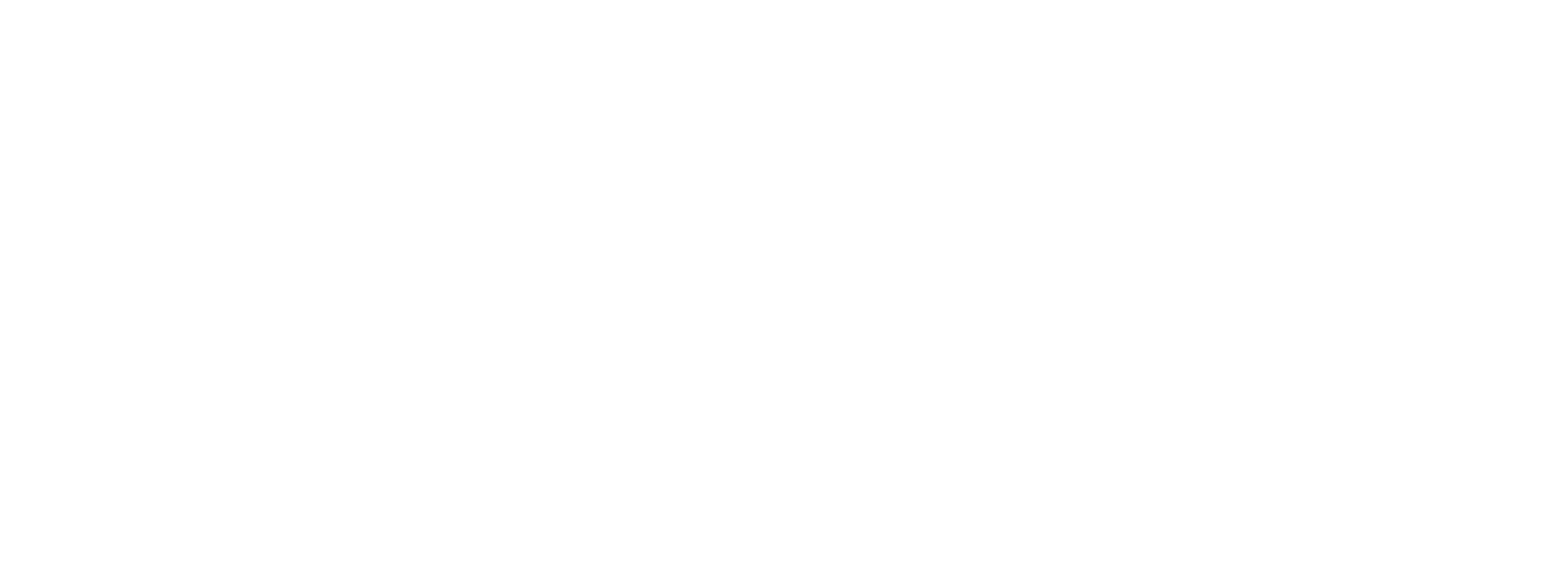 The Captain