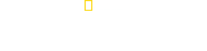 Arctic Ascent with Alex Honnold