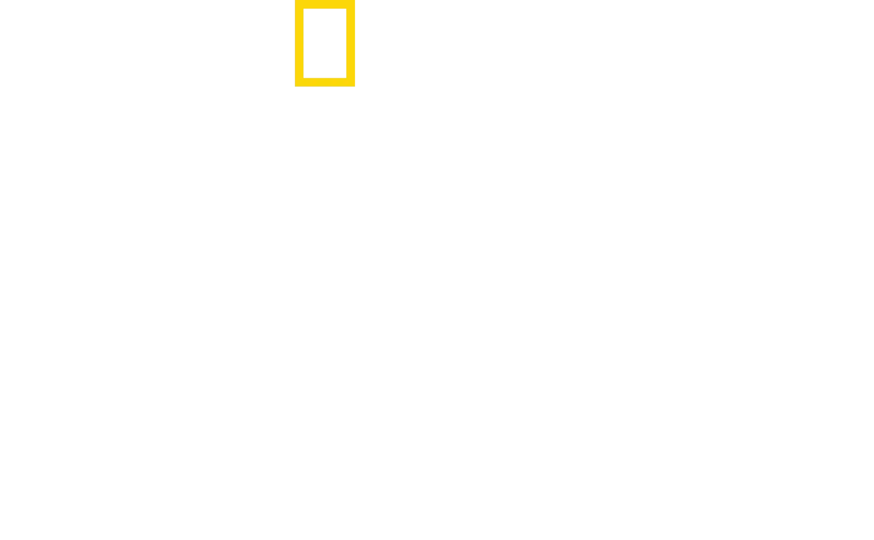 Stratení v džungli