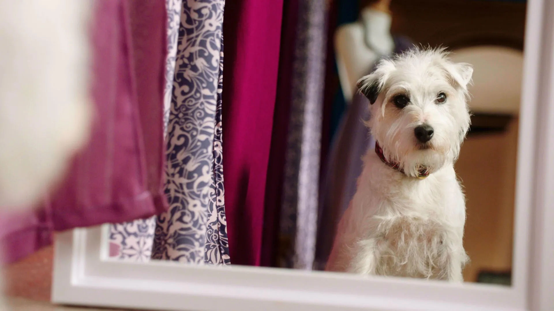 thumbnail - S2:E6 Dogsbody