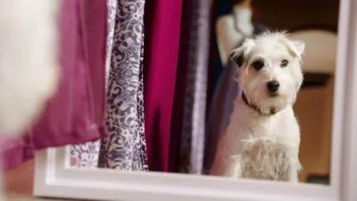 thumbnail - S2:E6 Dogsbody