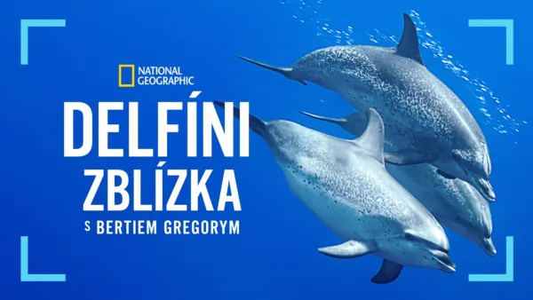 thumbnail - Delfíni zblízka s Bertiem Gregorym