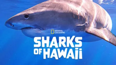 The Sharks of Hawaii