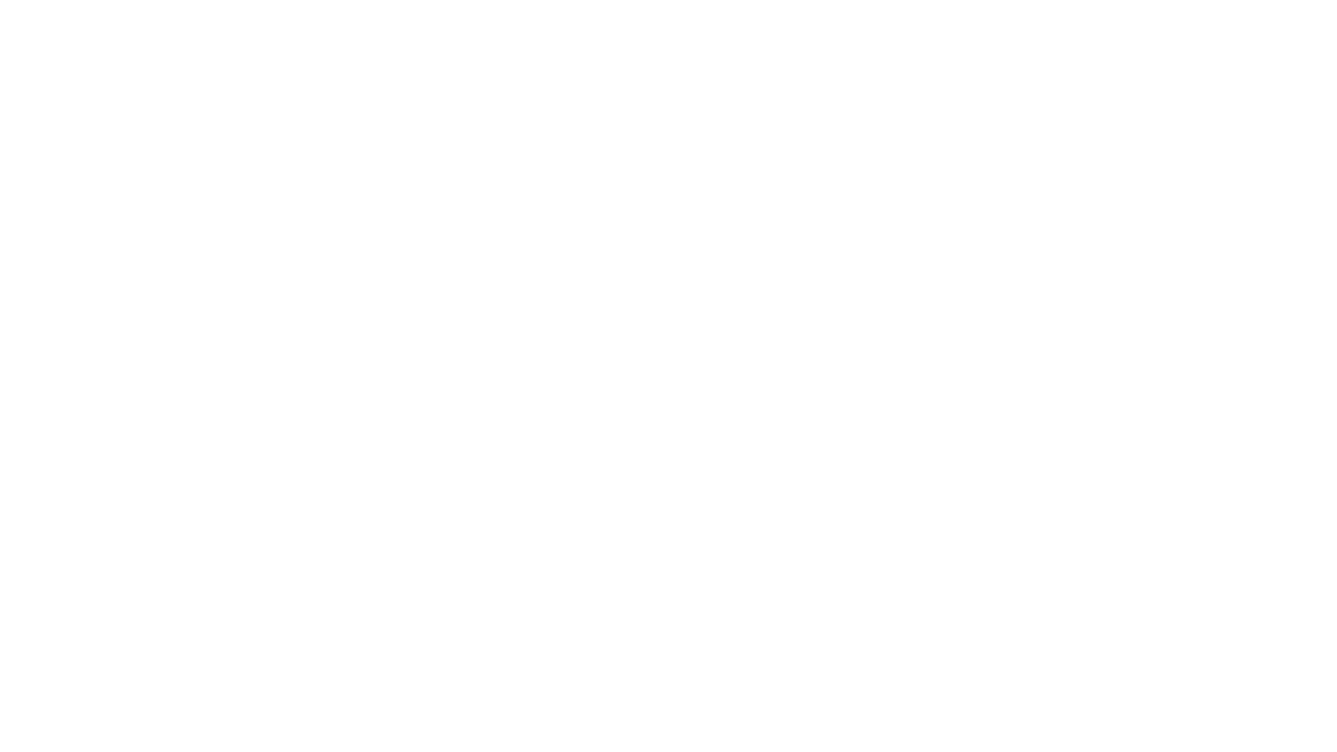 The Medallion