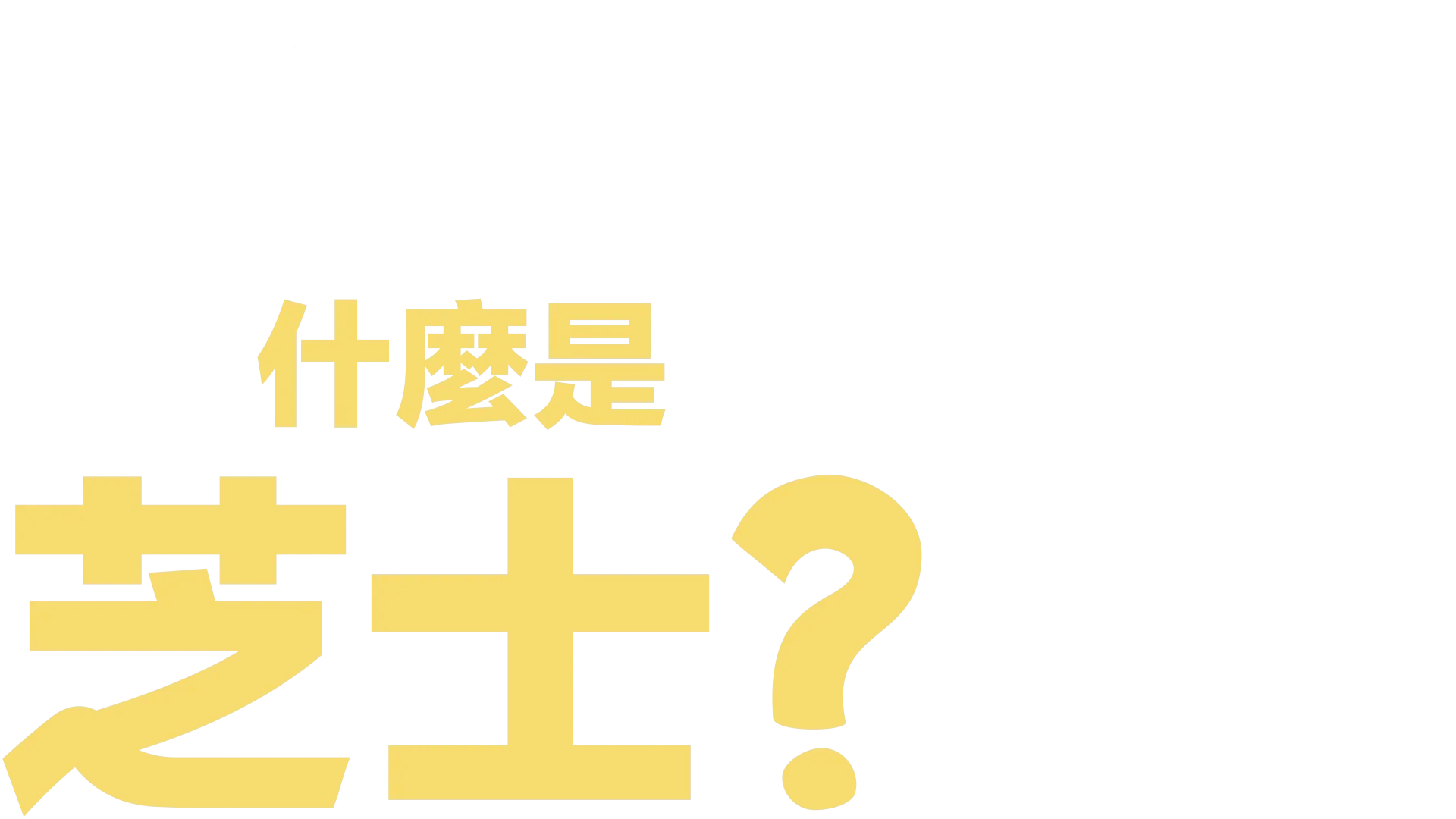 什麼是芝士？