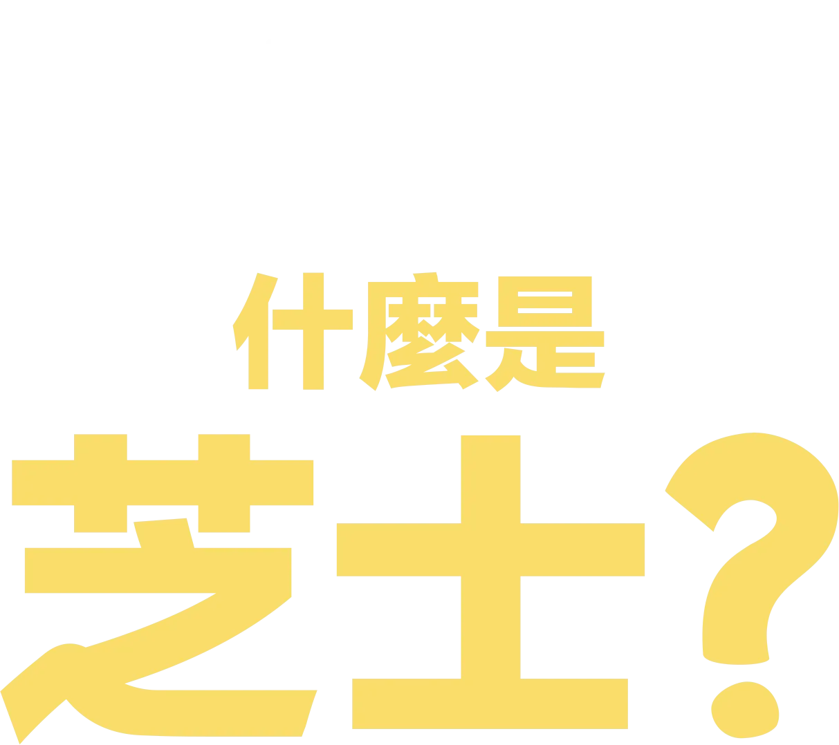 什麼是芝士？