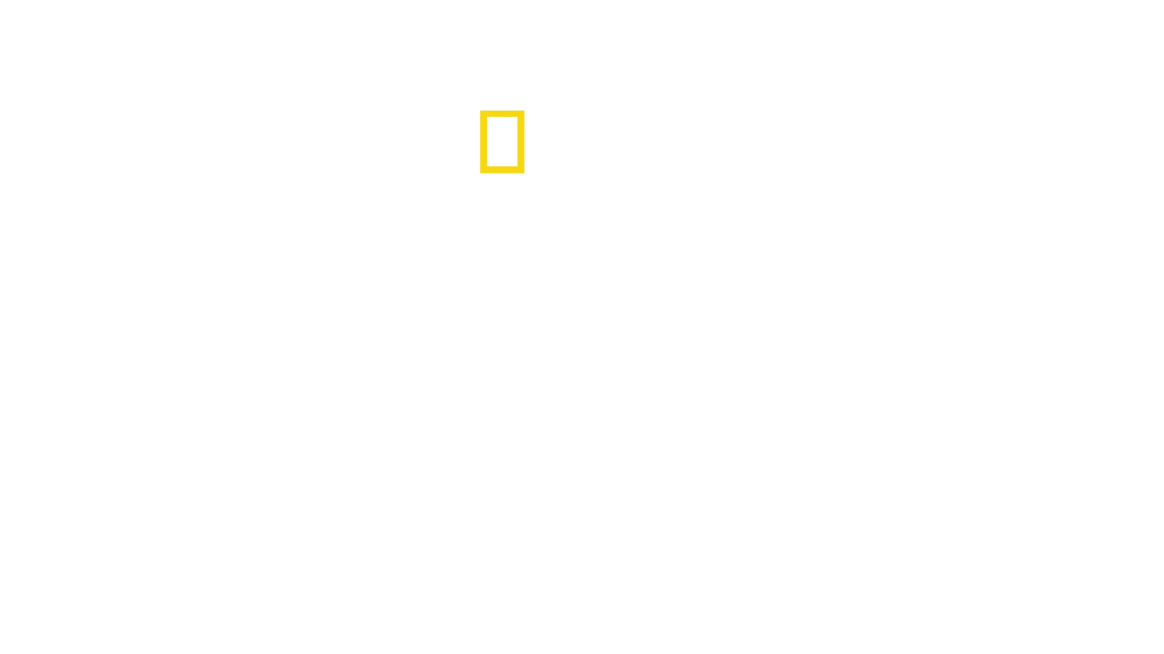 에베레스트의 미스터리