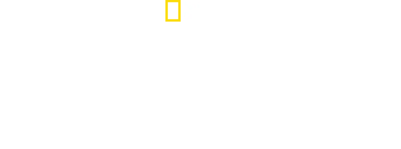 에베레스트의 미스터리