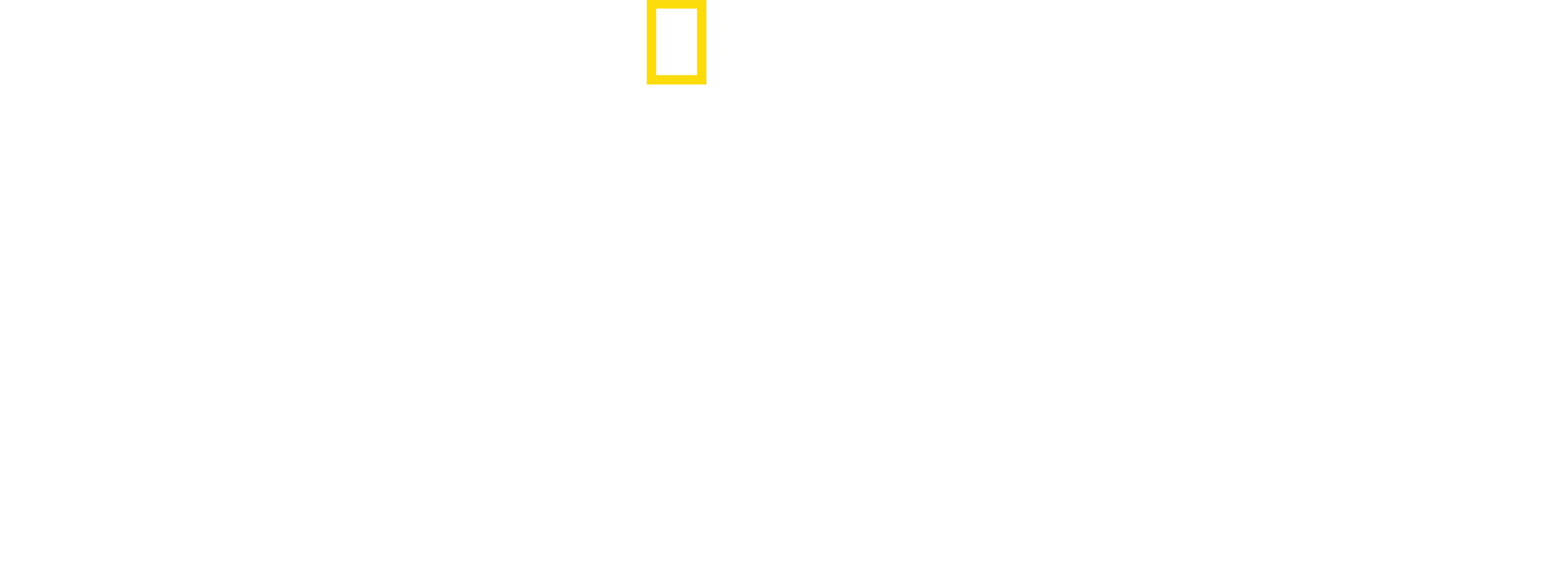 에베레스트의 미스터리