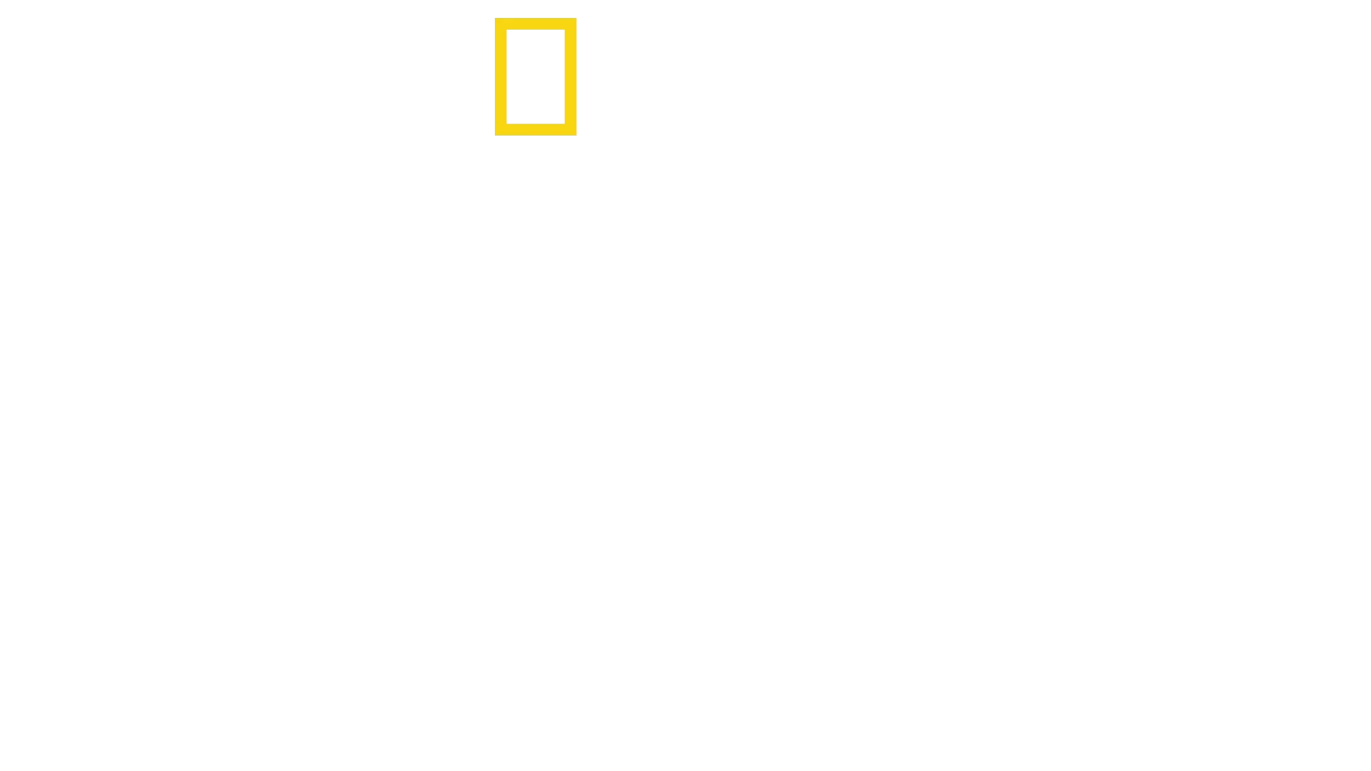 Zagubieni w dżungli