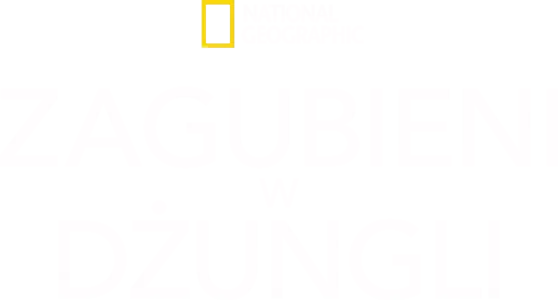 Zagubieni w dżungli