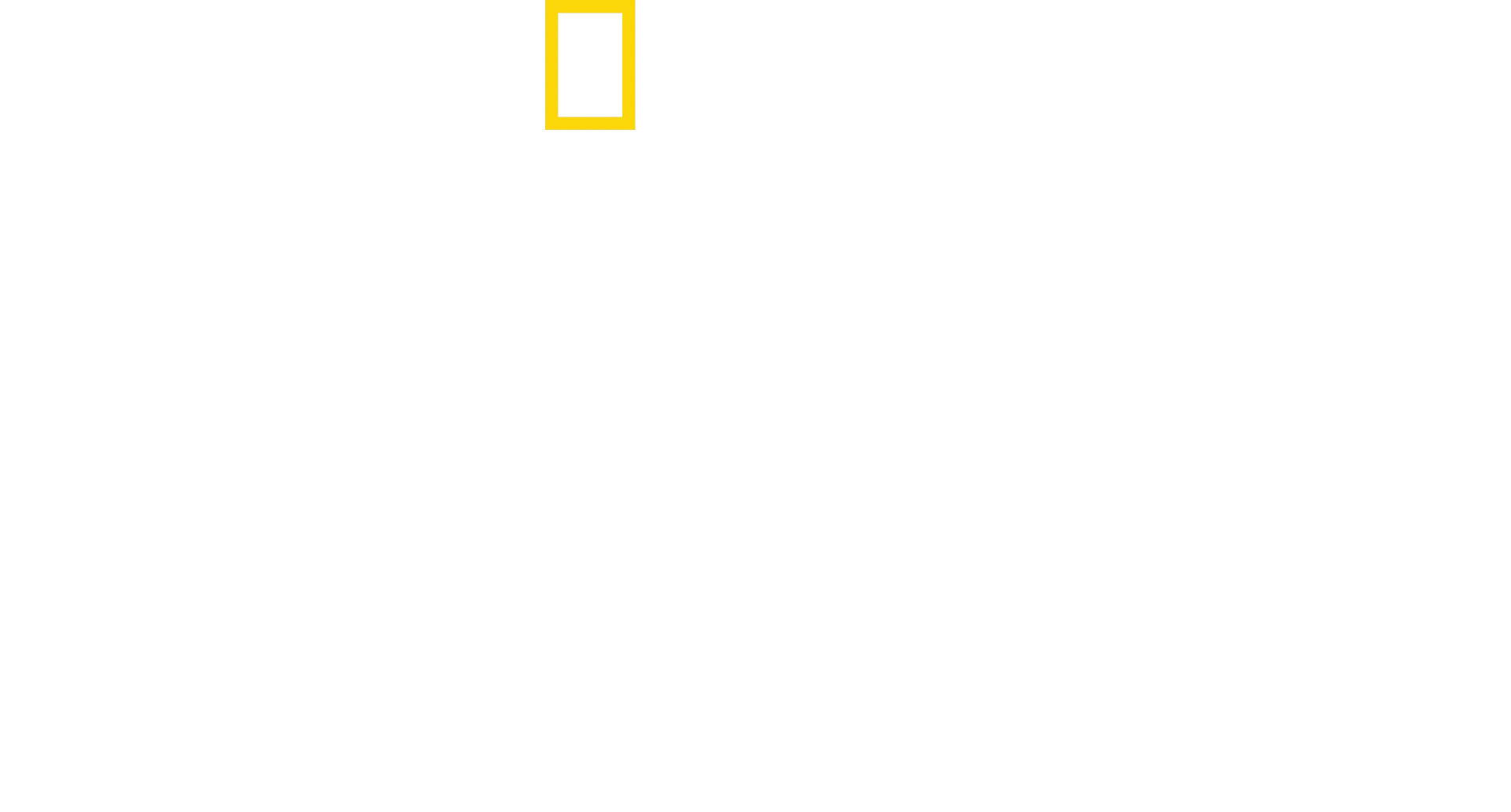 Zagubieni w dżungli