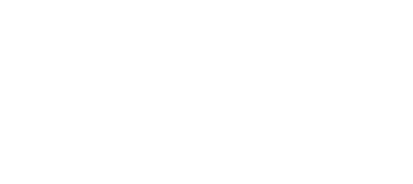 As Visões da Raven