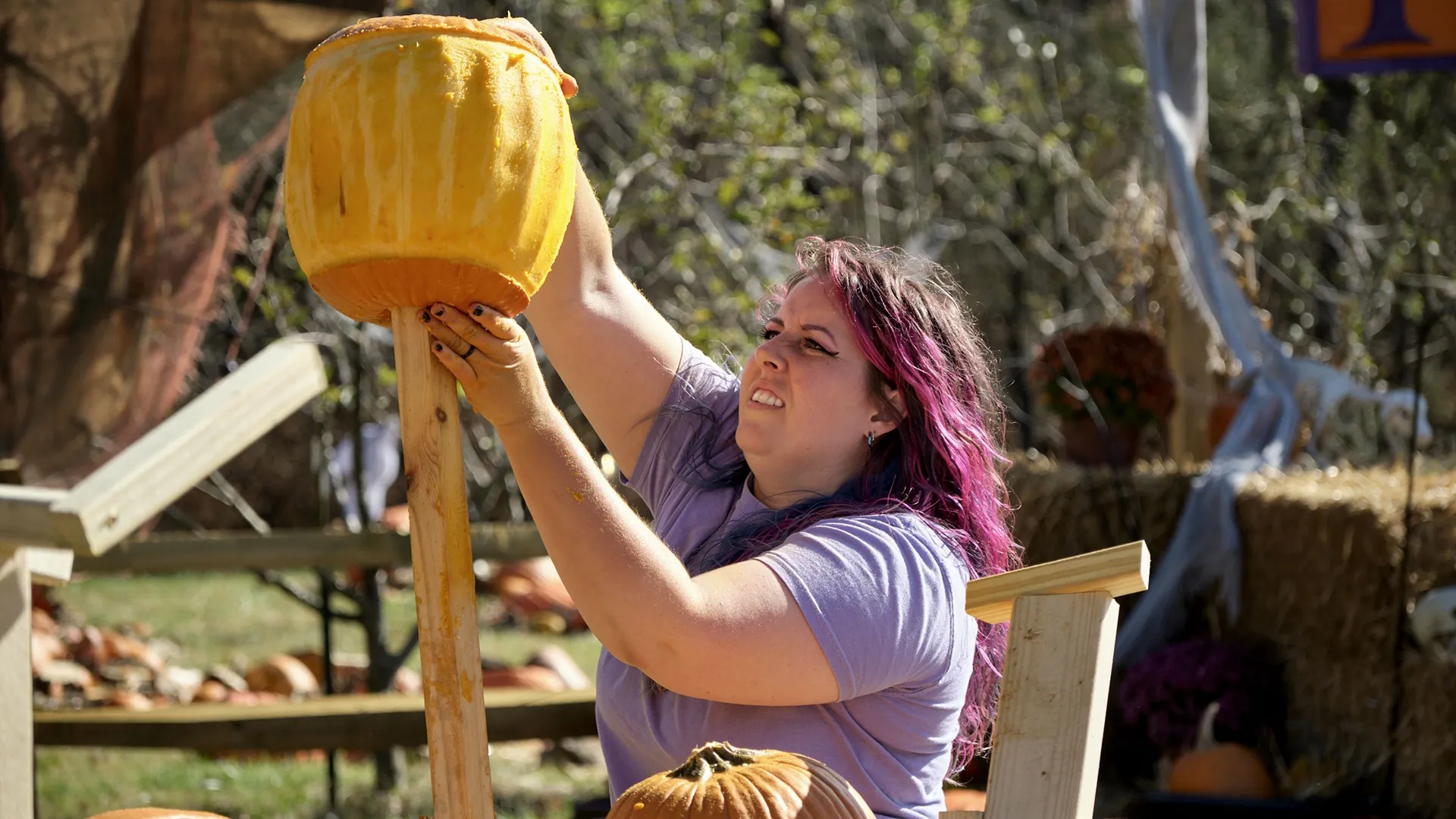 Outrageous Pumpkins | Watch Full Episodes | Disney+