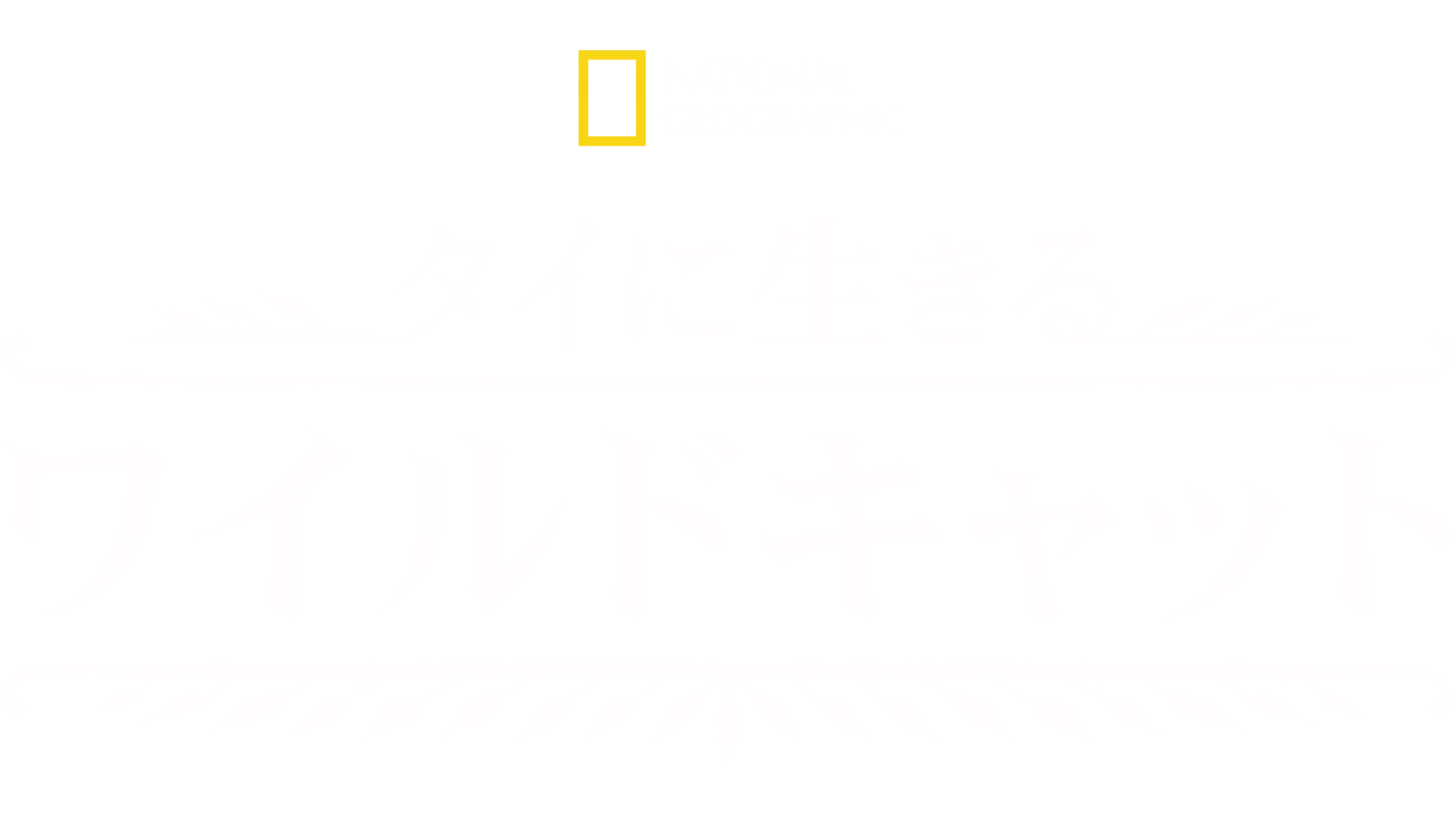 タイに生きるワイルドキャット