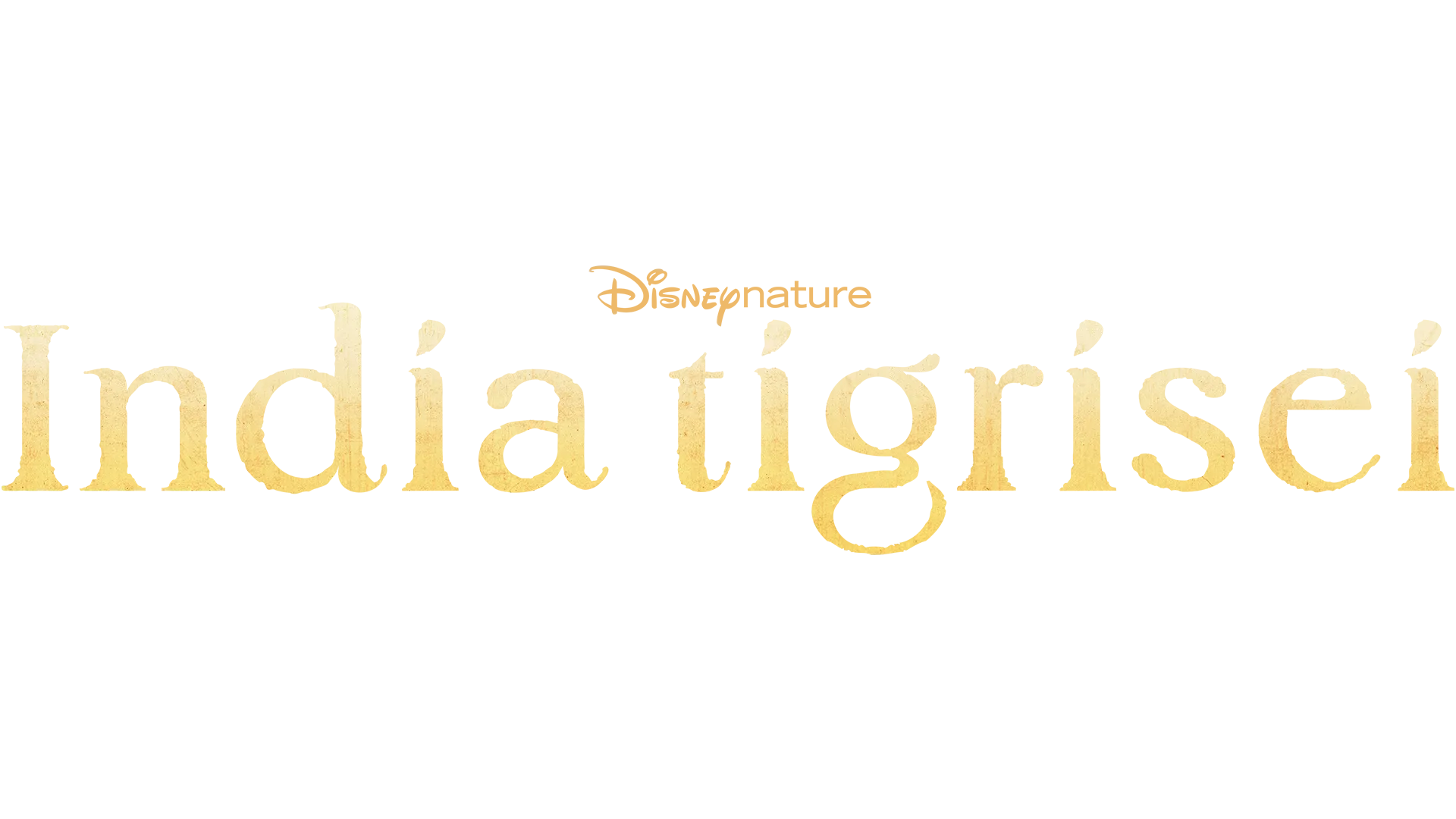 India tigrisei