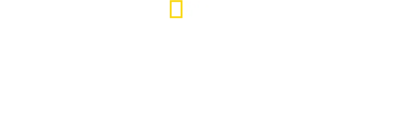 Tutankamón a color
