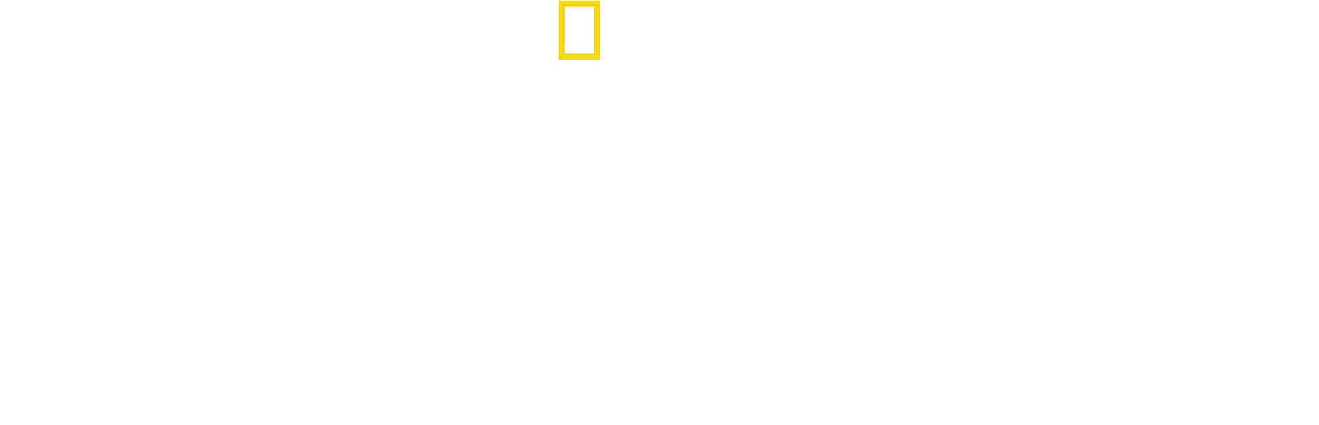 Tutankamón a color