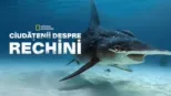 thumbnail - Ciudățenii despre rechini