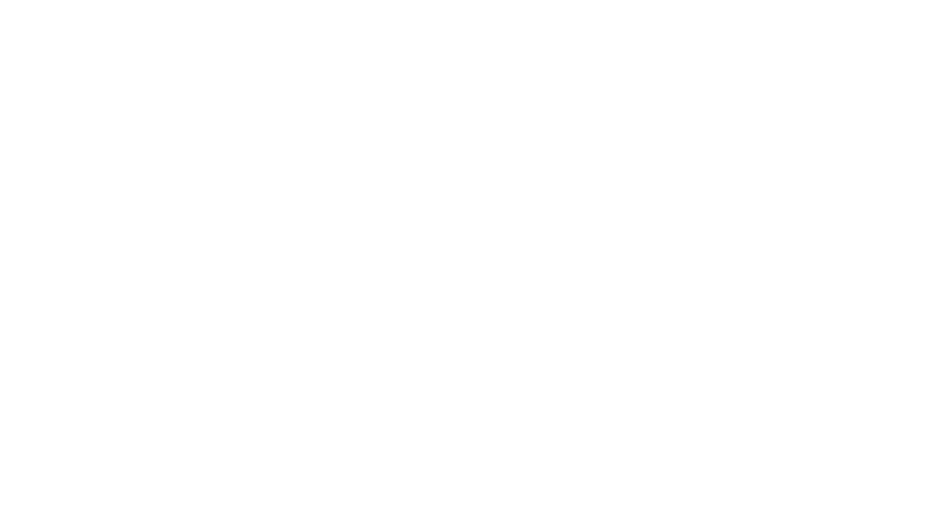Das Phantom-Kommando