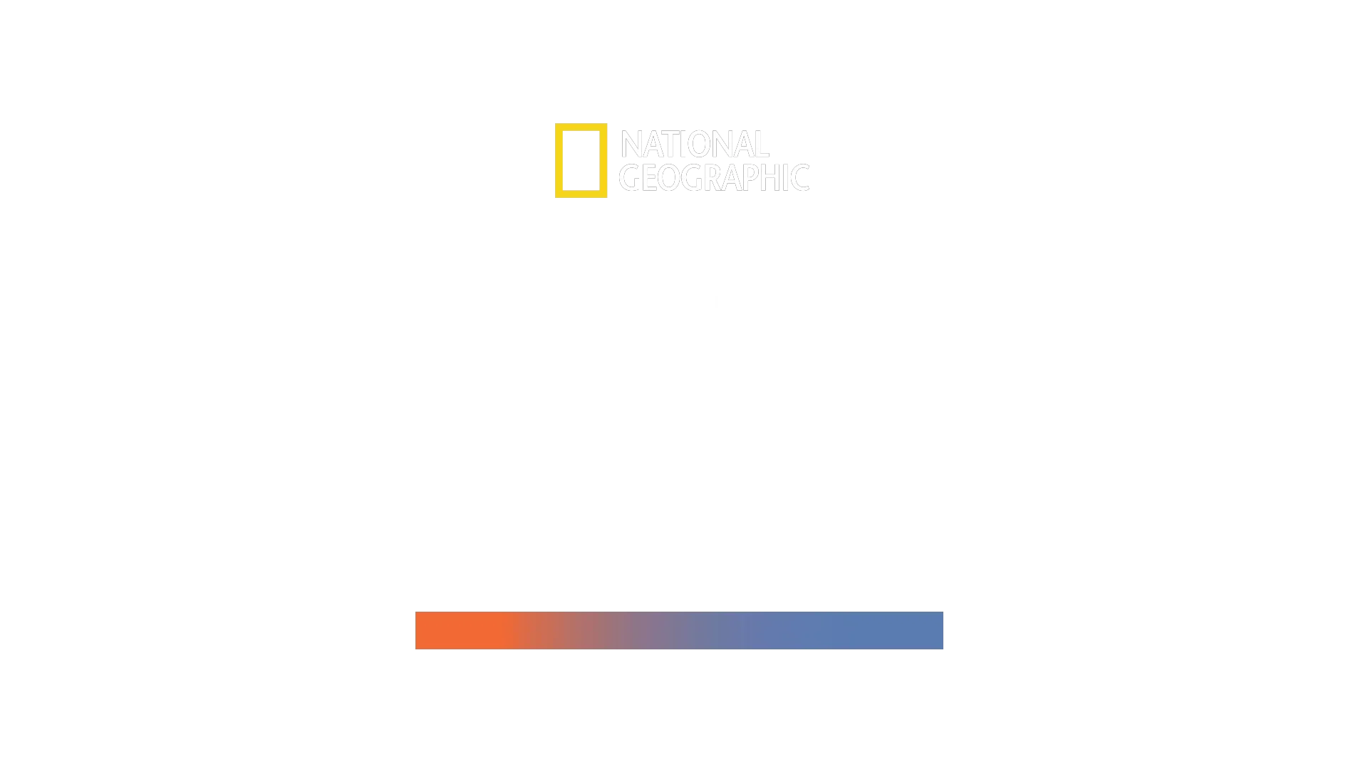 Il mega squalo martello