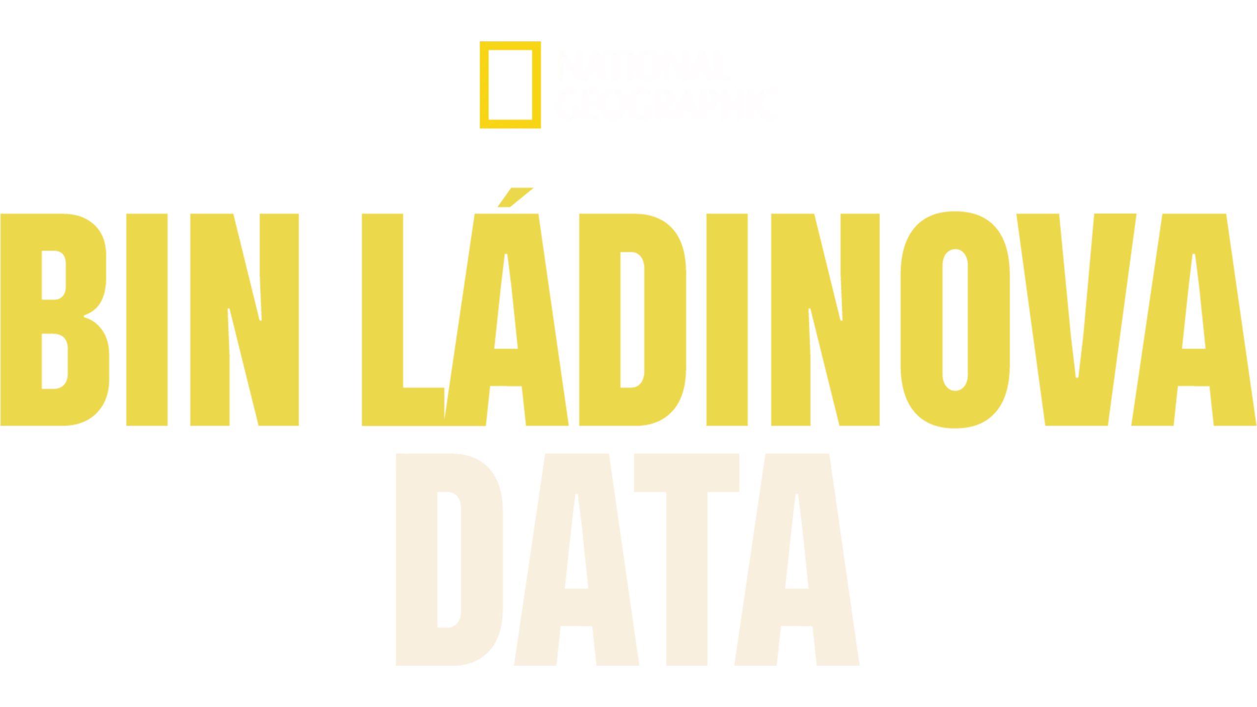 Bin Ládinova data