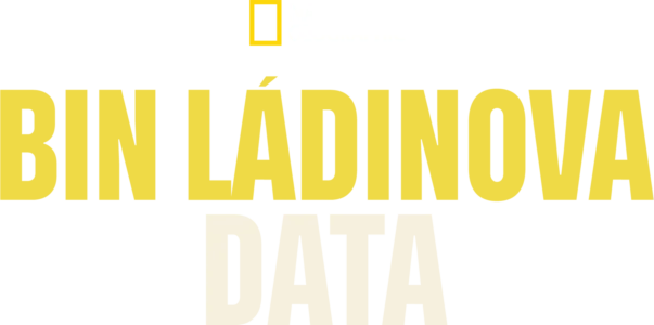 Bin Ládinova data